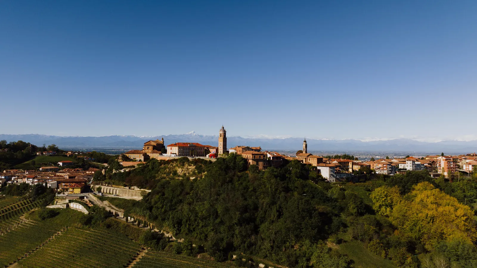 Vineyard-covered hills near Barolo in the Langhe region of Piedmont, Italy, in autumn light