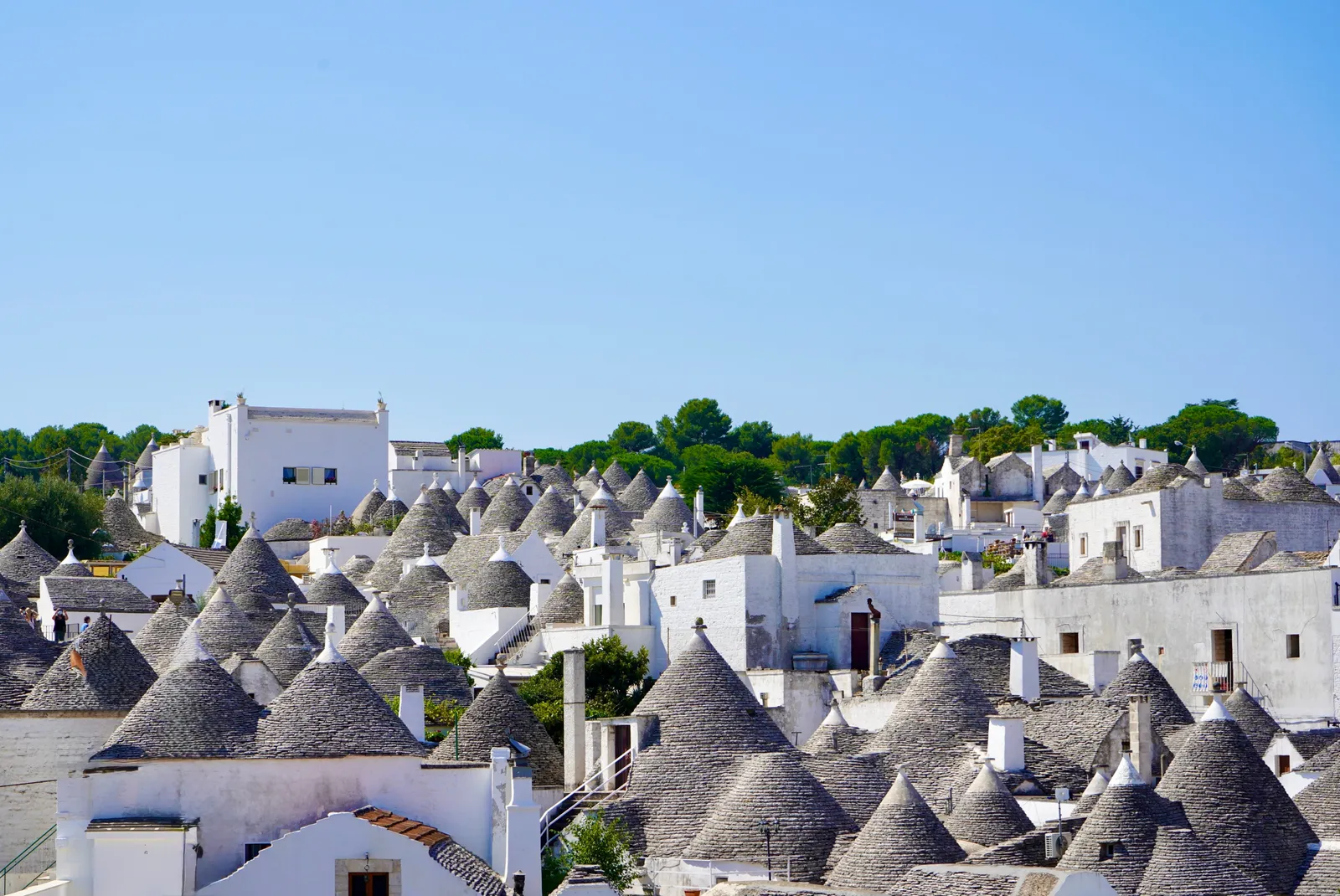 A hillside of white trulli houses with conical stone roofs at Alberobello, Italy