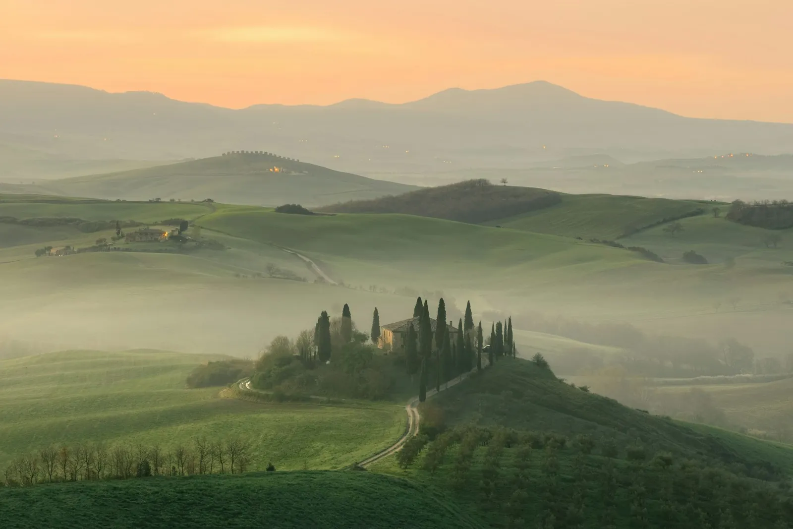 A winding road lined with cypress trees crossing the golden hills of the Val d'Orcia in Tuscany