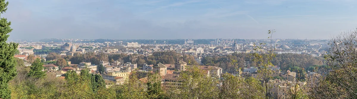View from a wooded hill over the tiled roofs and domes of a large city on a clear day