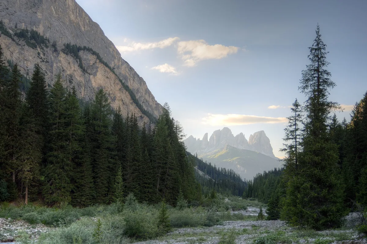A jagged rock massif on the horizon between spruce covered slopes and a stony stream