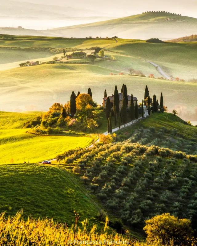 A stone farmhouse on a hill with a cypress avenue and golden fields