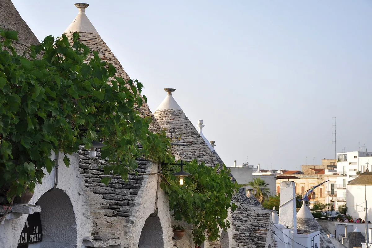 Conical stone roofs of whitewashed trulli houses with a climbing vine and a sloping lane