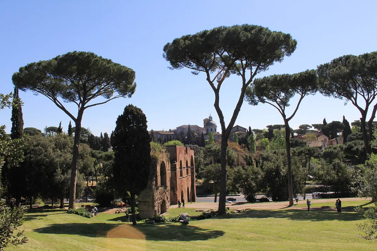 Green lawn and tall umbrella pines above the remains of brick walls