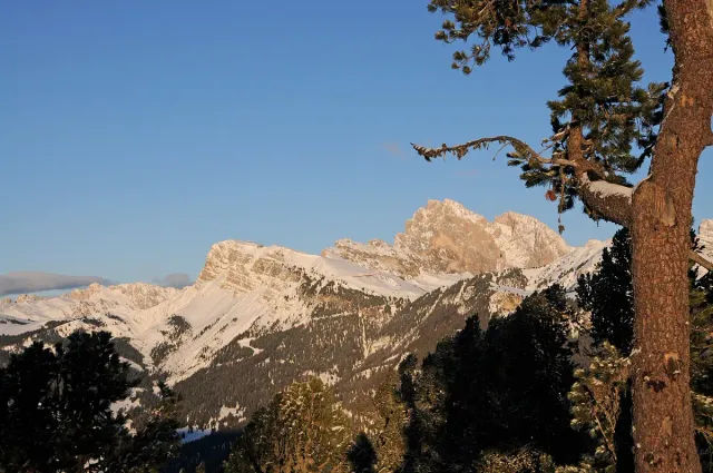 A tilted rock ridge in warm light above forested slopes