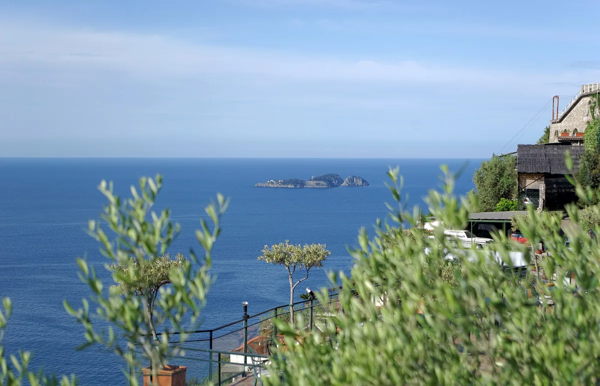 View over olive trees to a deep blue sea with small islands on the horizon