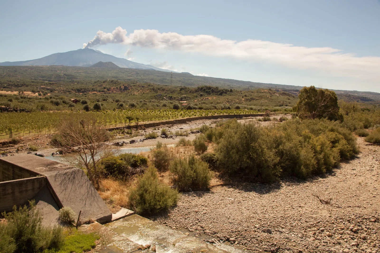 Mount Etna smoking above dry scrubland on the plain below its eastern slopes, Sicily