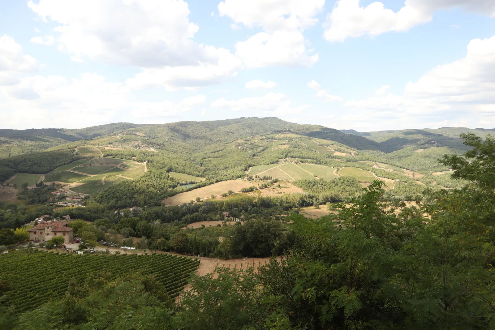 Rolling farmland and vineyards under a wide sky in Tuscany, Italy